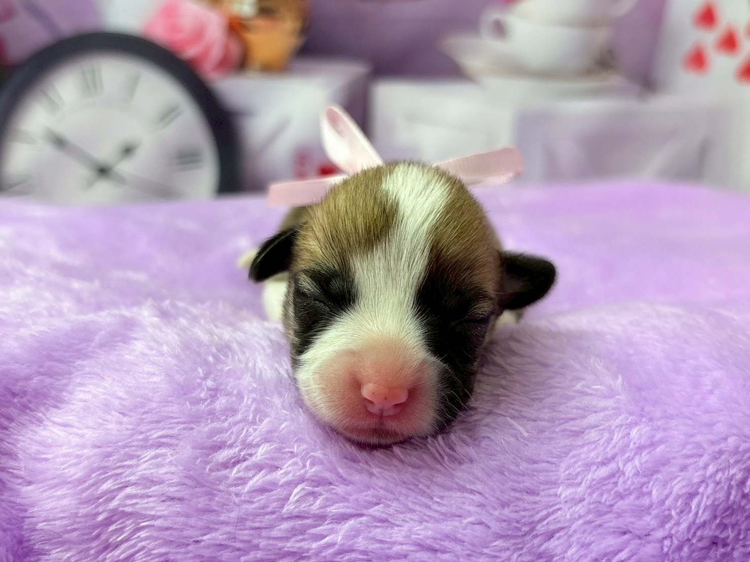 赤ちゃん写真1-1