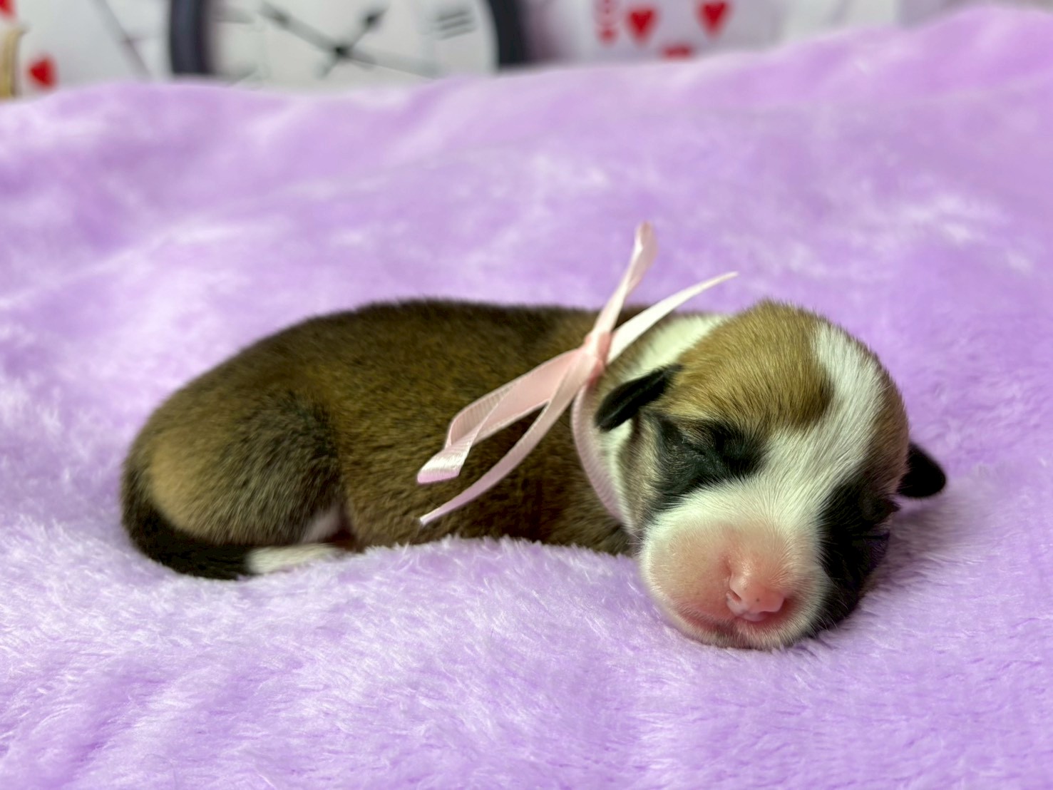 赤ちゃん写真1-2