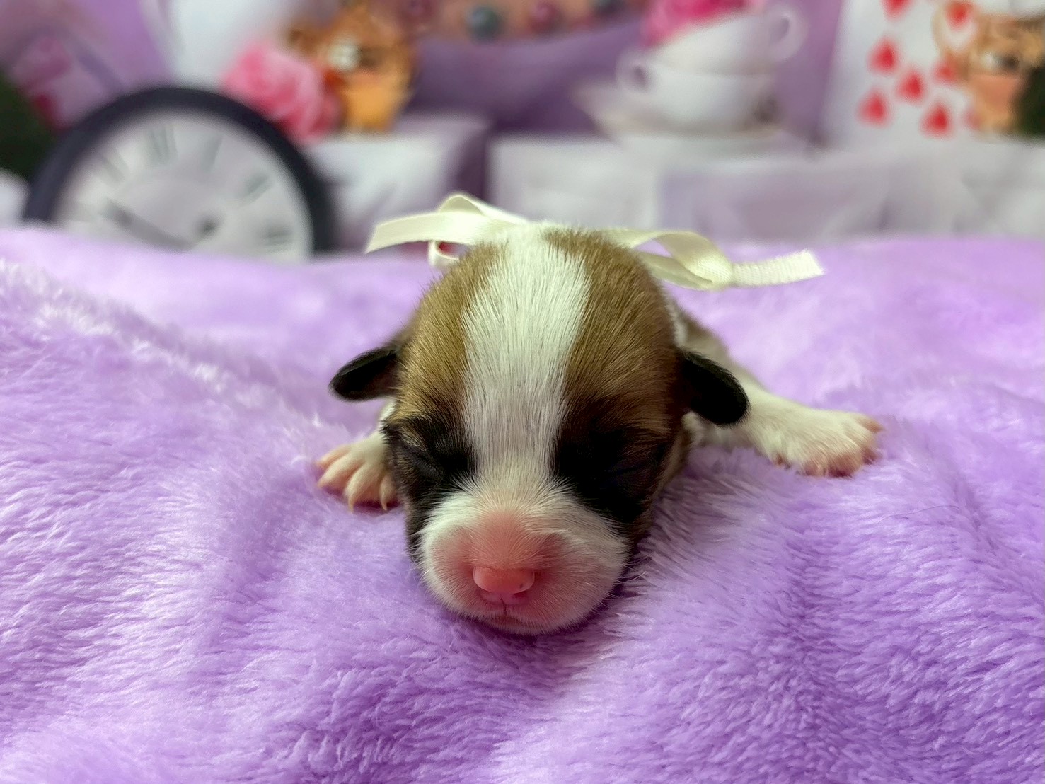 赤ちゃん写真1-1