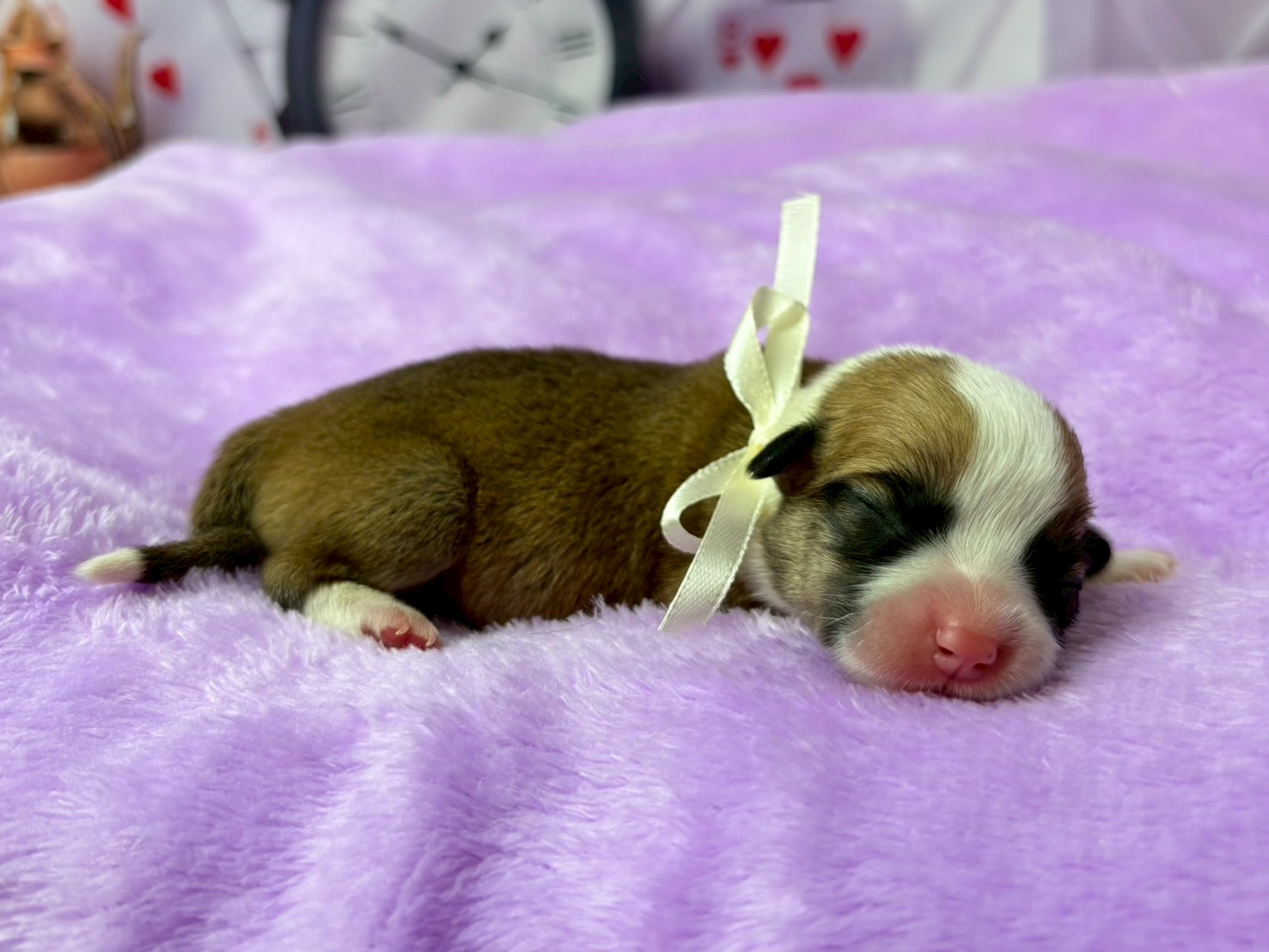 赤ちゃん写真1-2