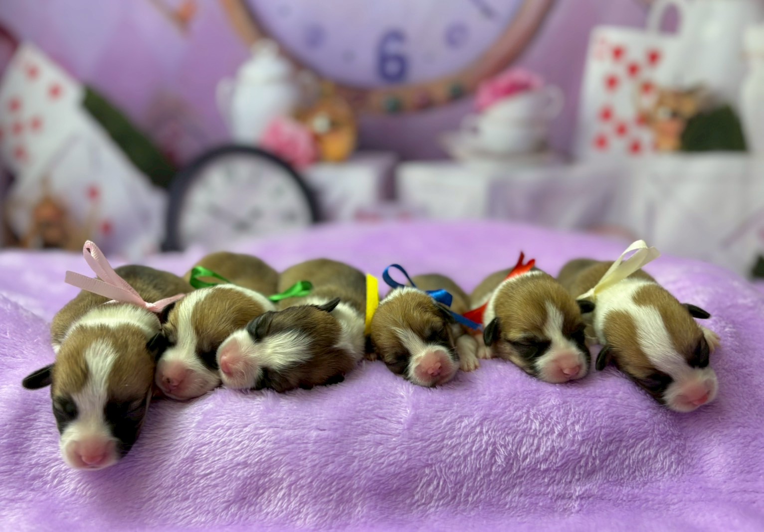 赤ちゃん写真1-3