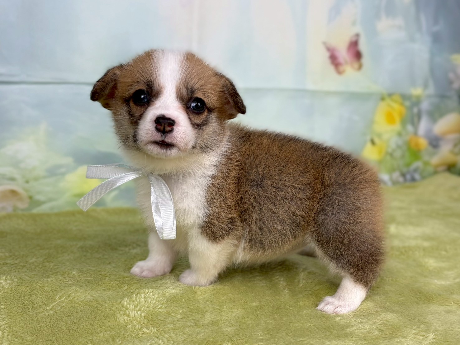 赤ちゃん写真2-2