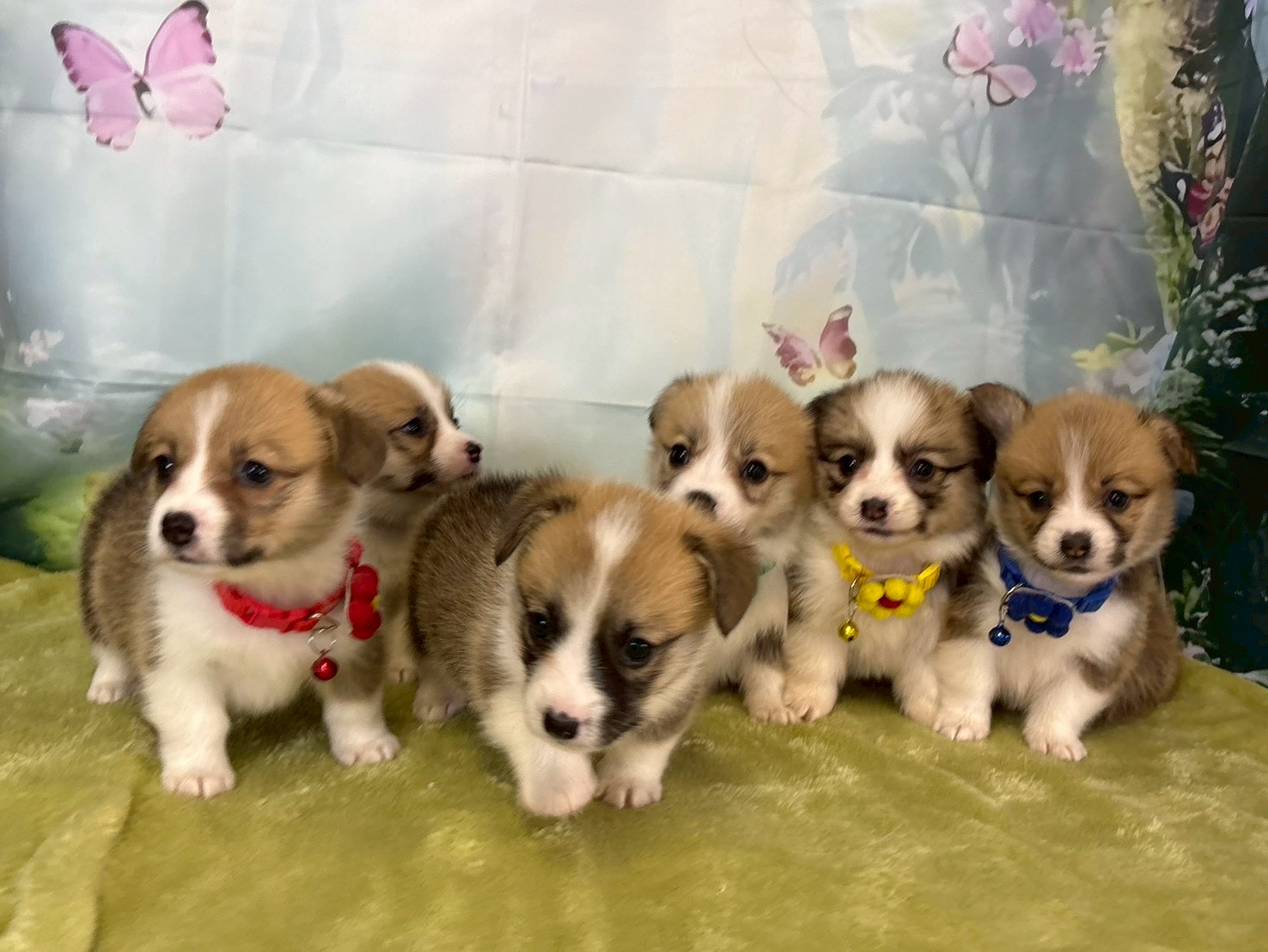 赤ちゃん写真2-3