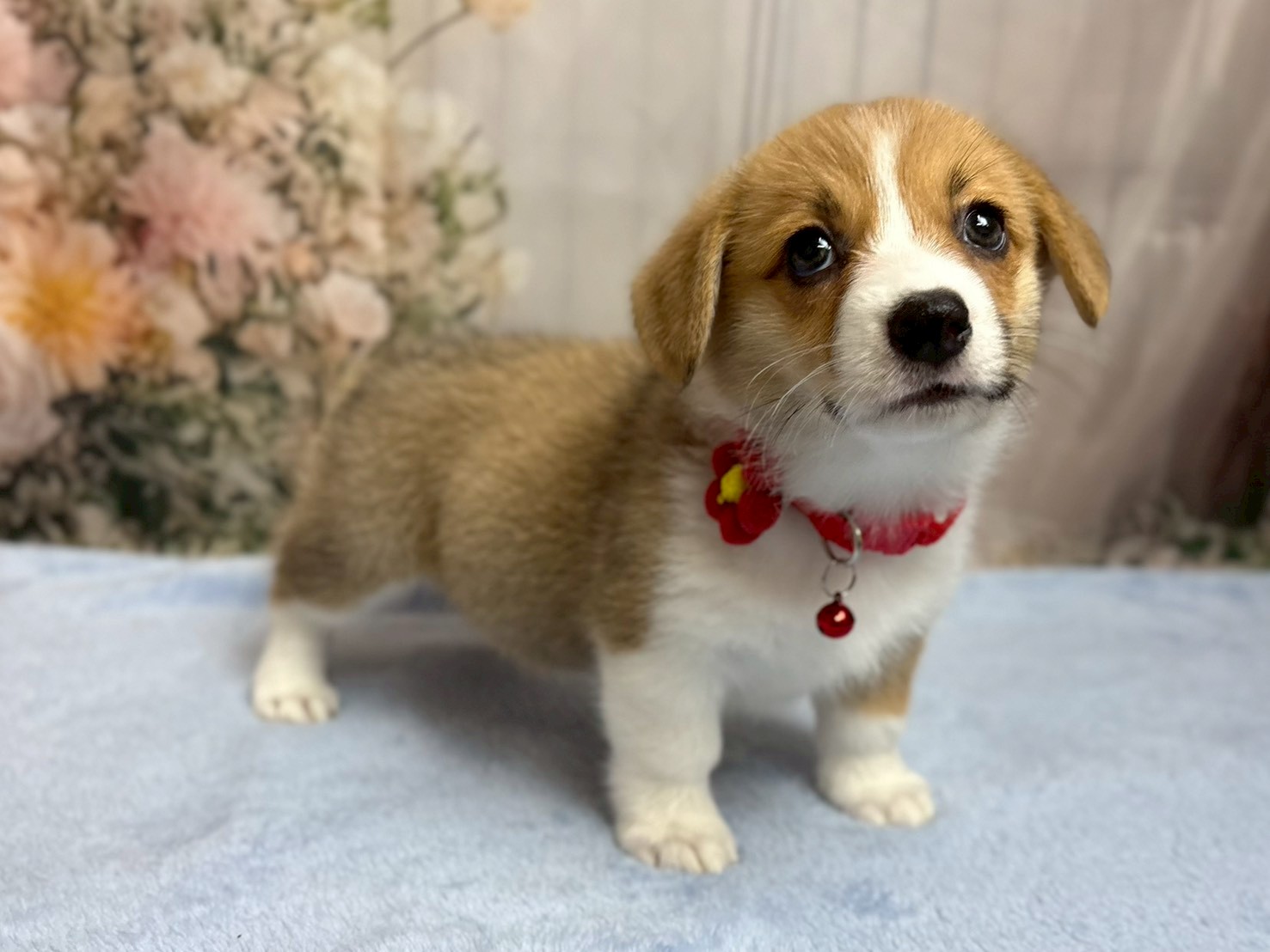赤ちゃん写真3-2