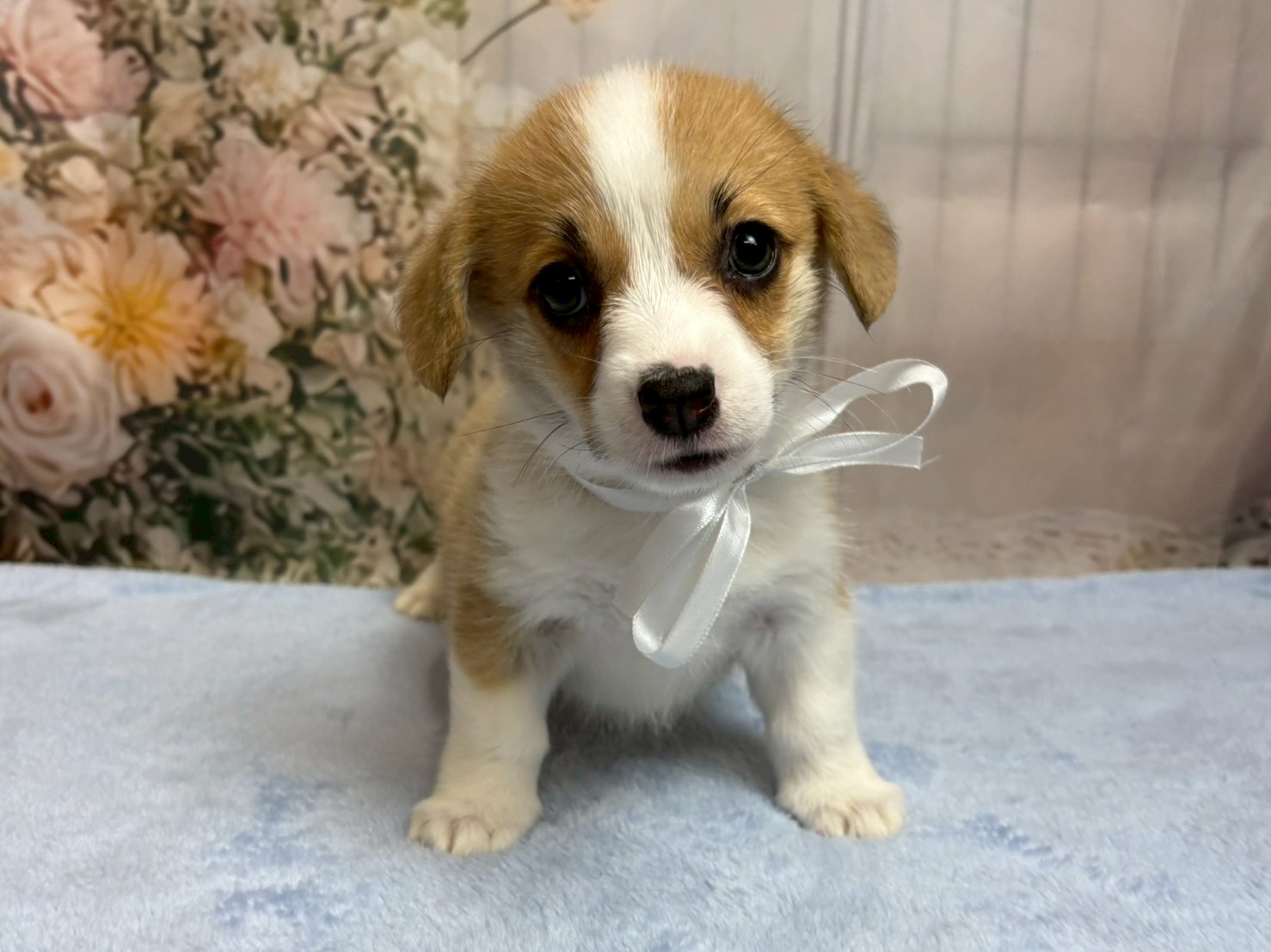 赤ちゃん写真3-1