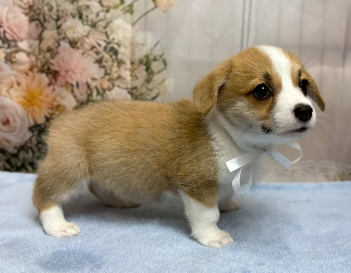 赤ちゃん写真3-2