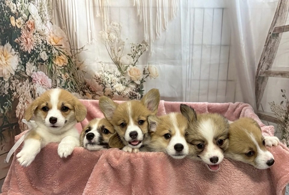 赤ちゃん写真3-3