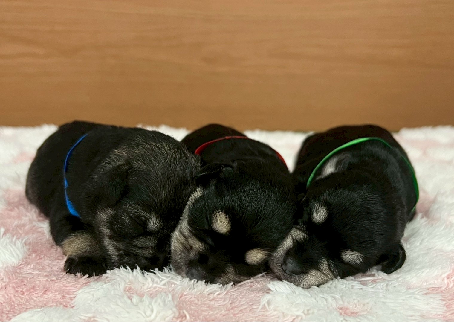 赤ちゃん写真1-3