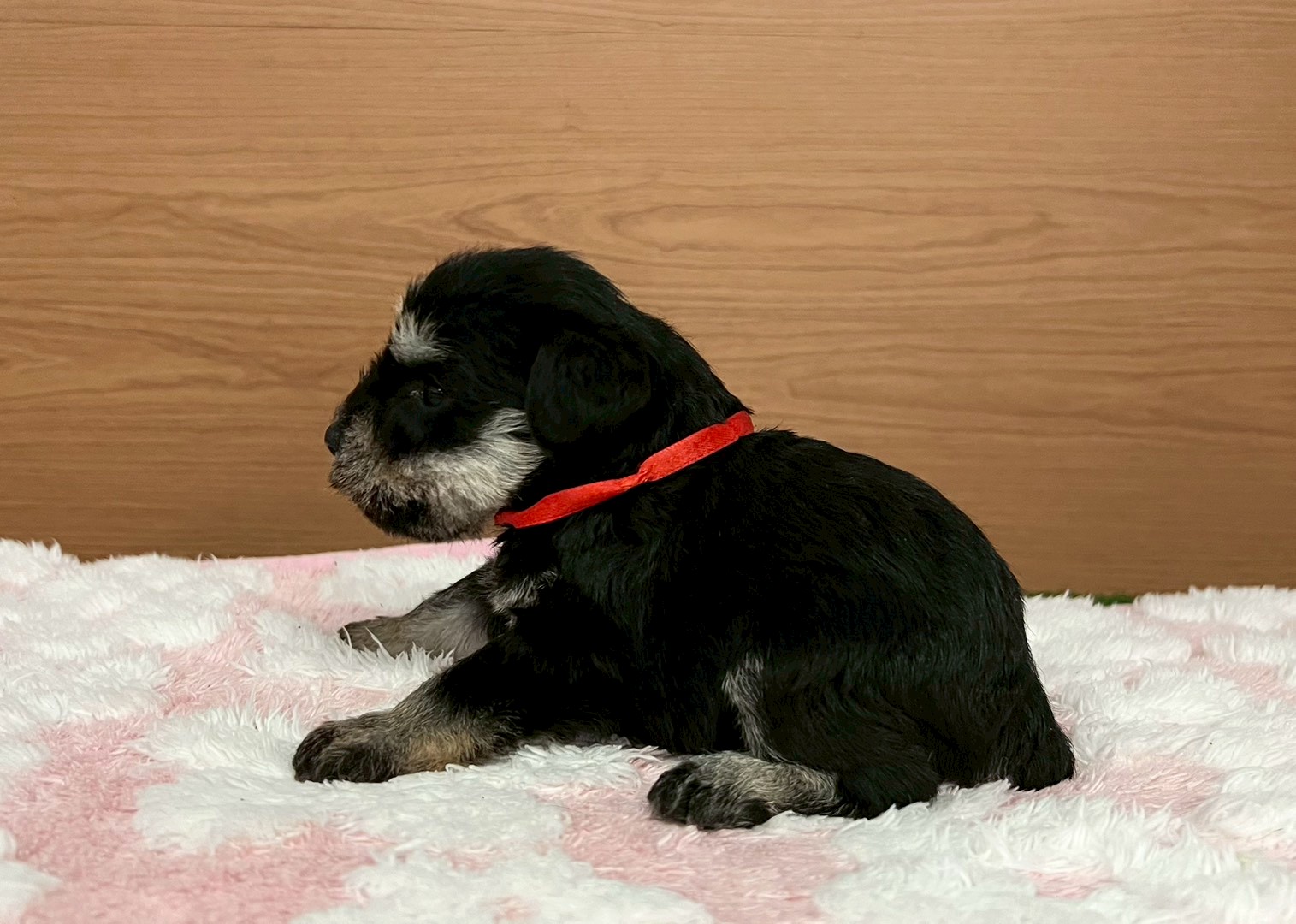 赤ちゃん写真2-2