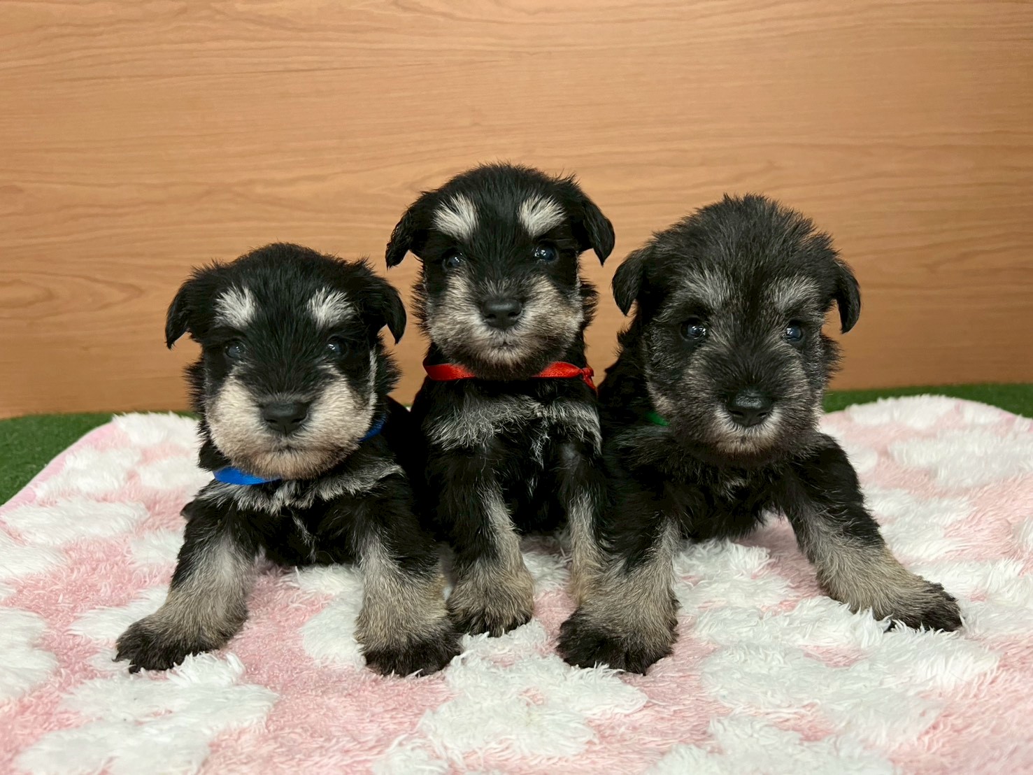 赤ちゃん写真2-3