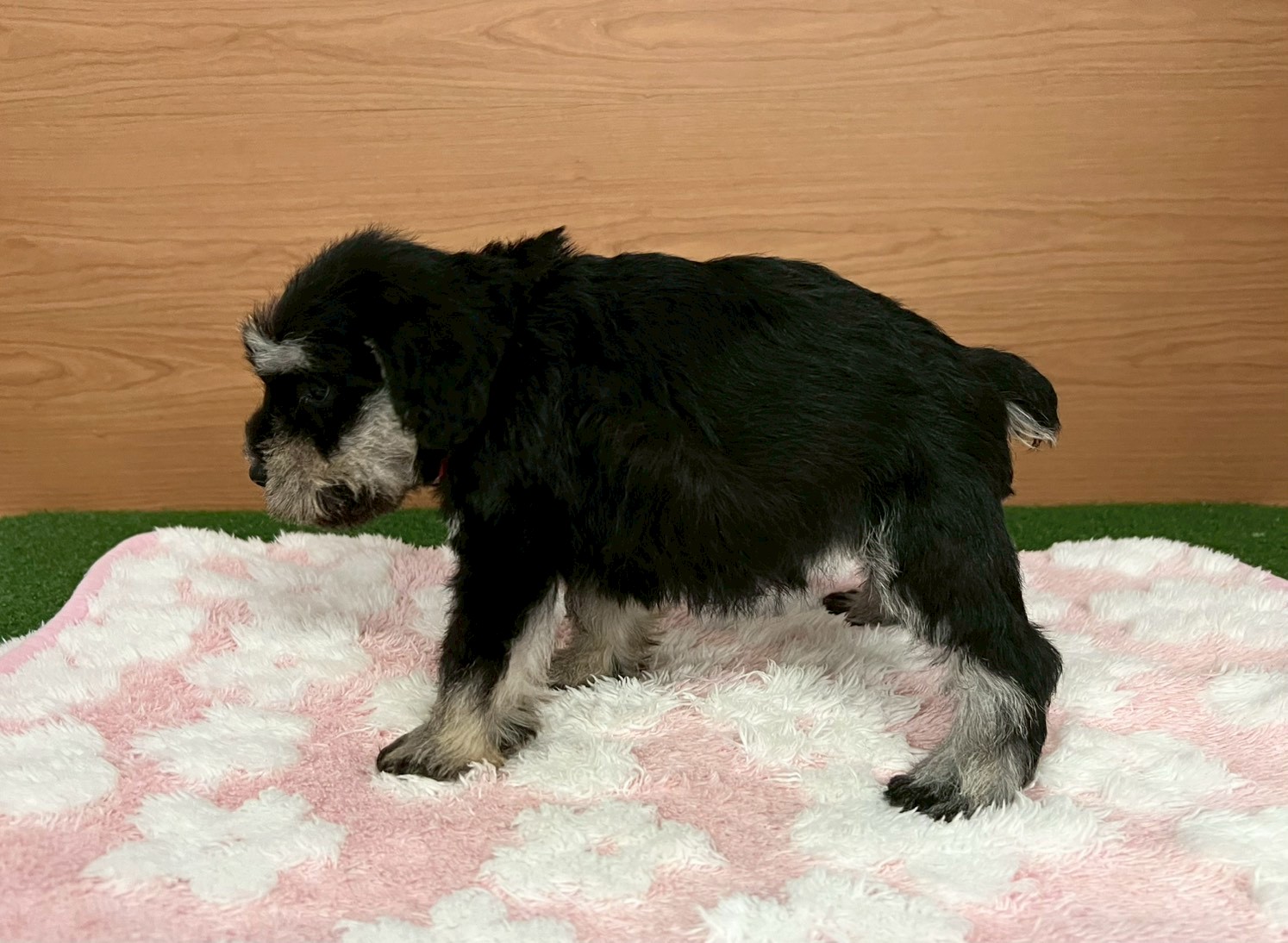 赤ちゃん写真3-2