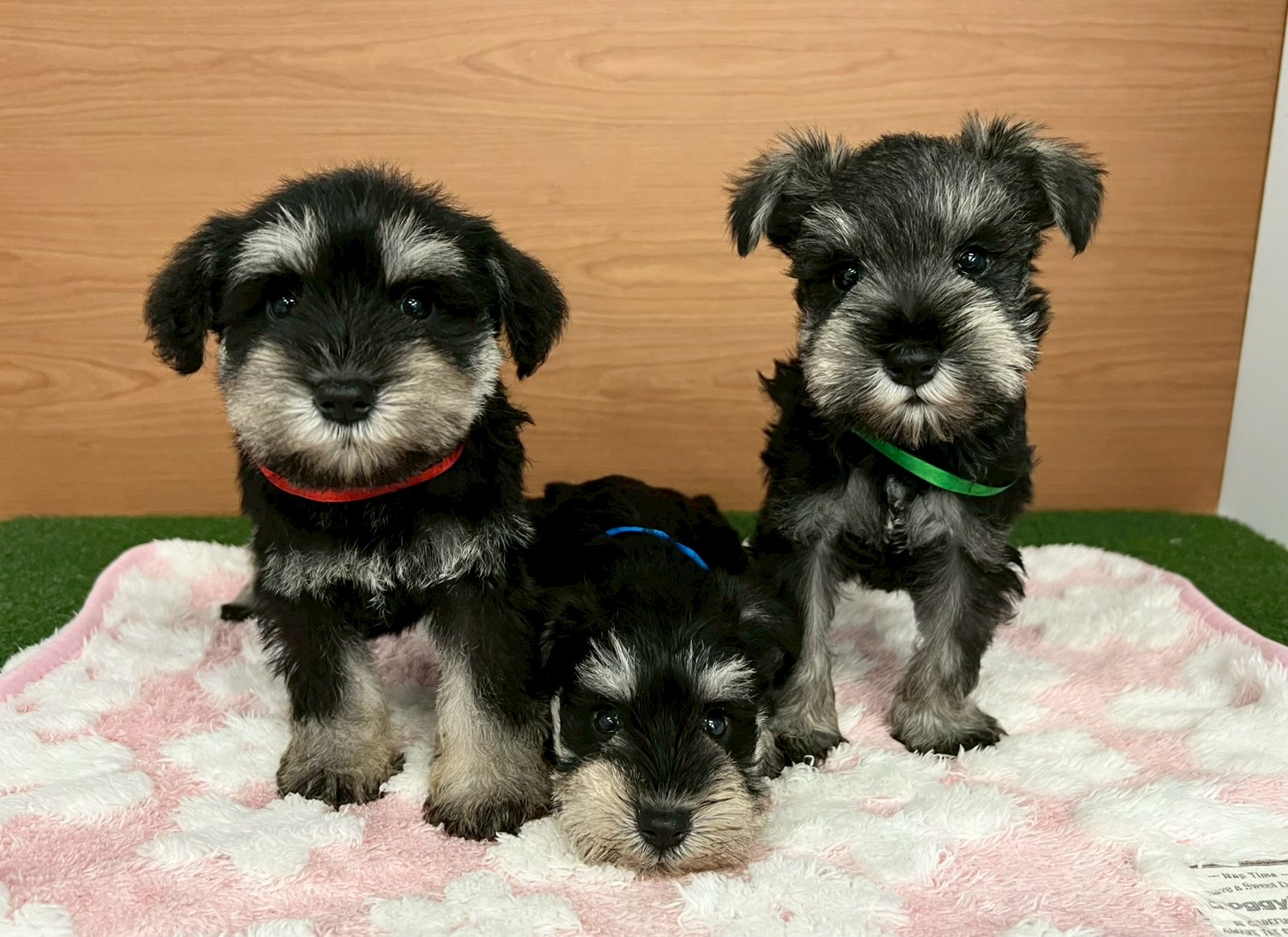 赤ちゃん写真3-3