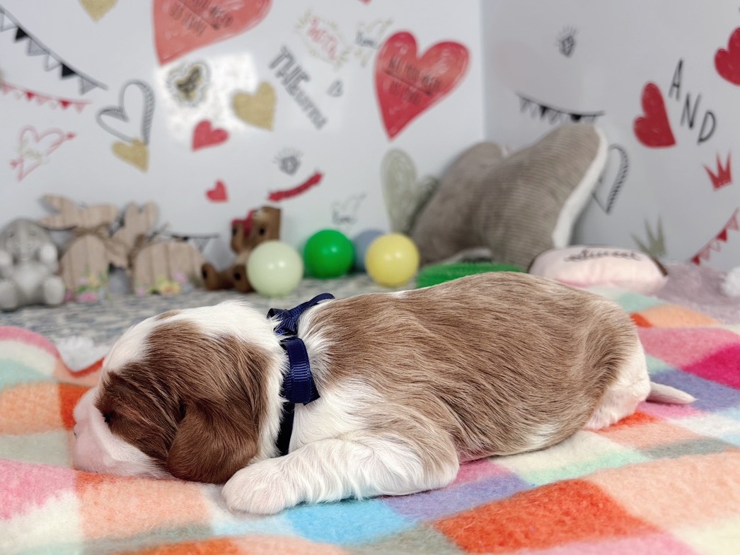 赤ちゃん写真1-2