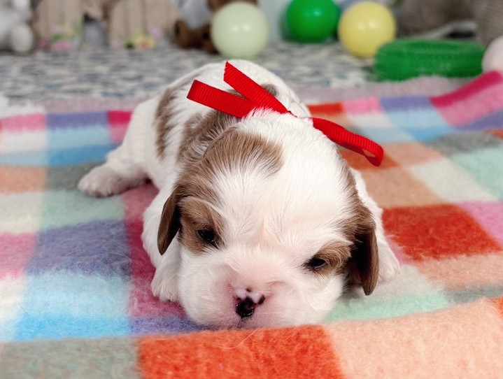 赤ちゃん写真1-1