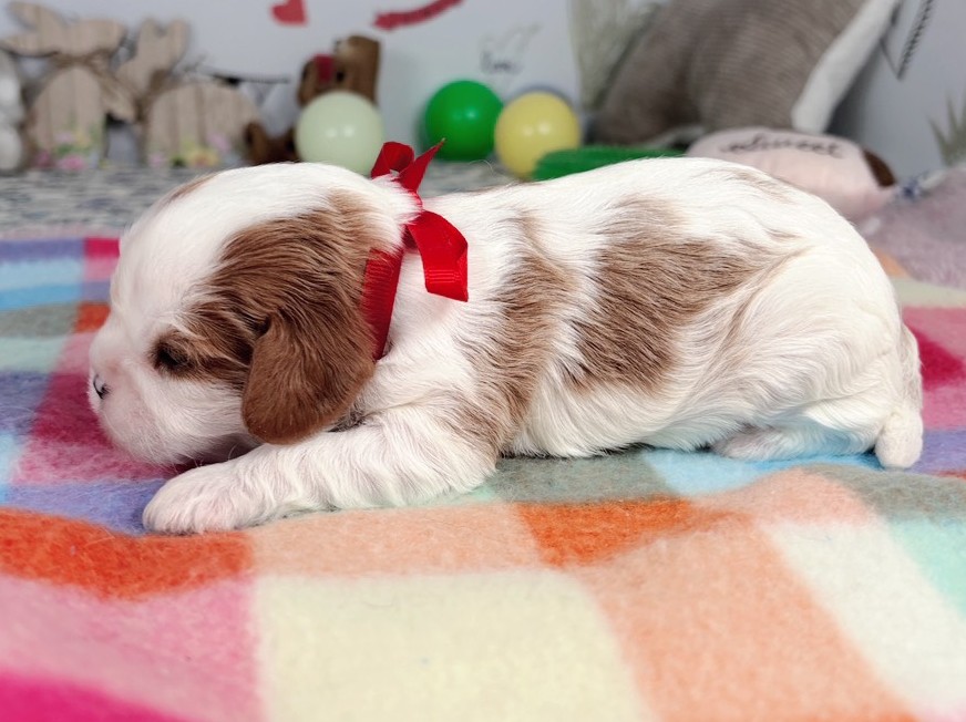 赤ちゃん写真1-2