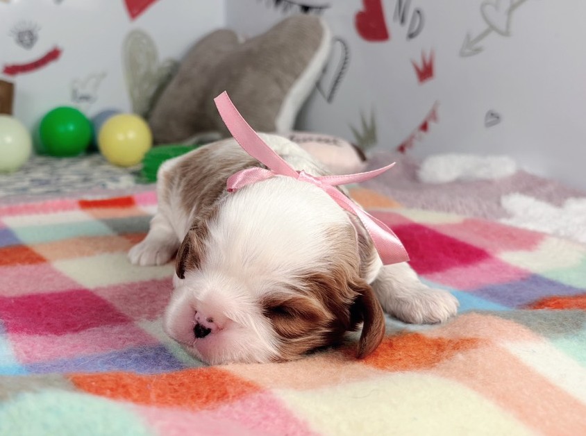 赤ちゃん写真1-1