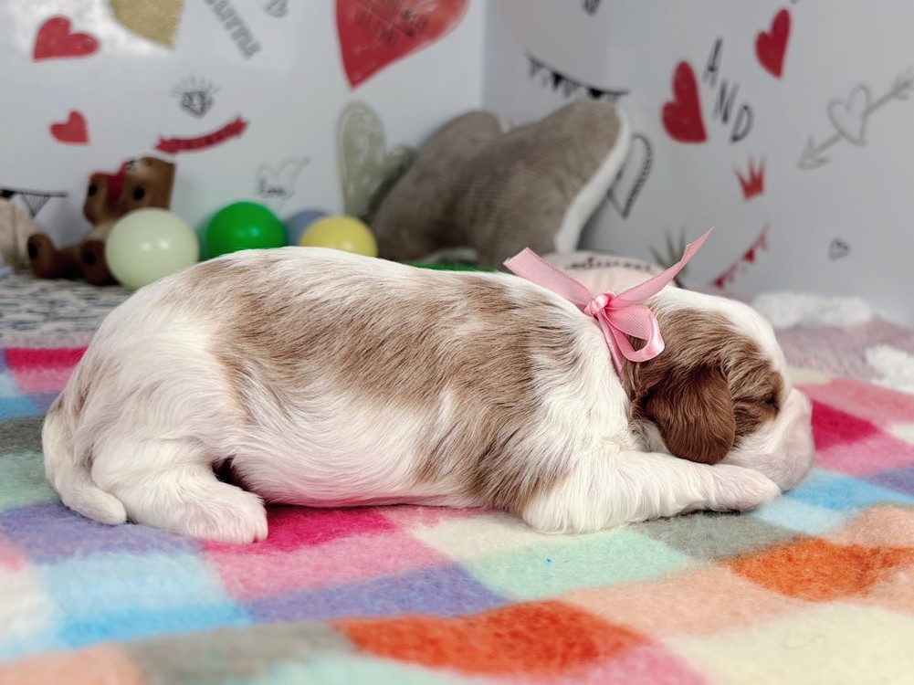 赤ちゃん写真1-2