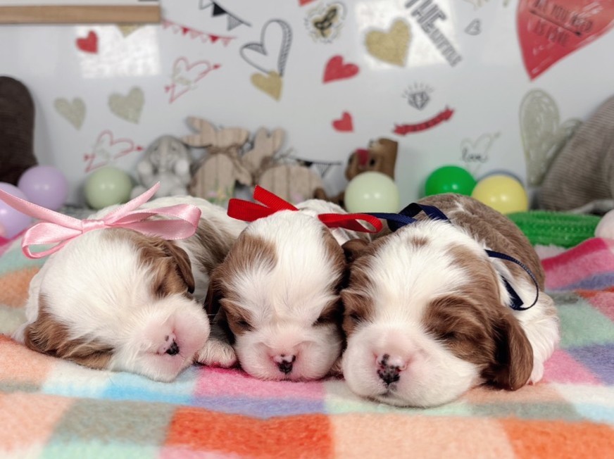 赤ちゃん写真1-3