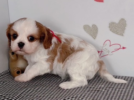 赤ちゃん写真2-2