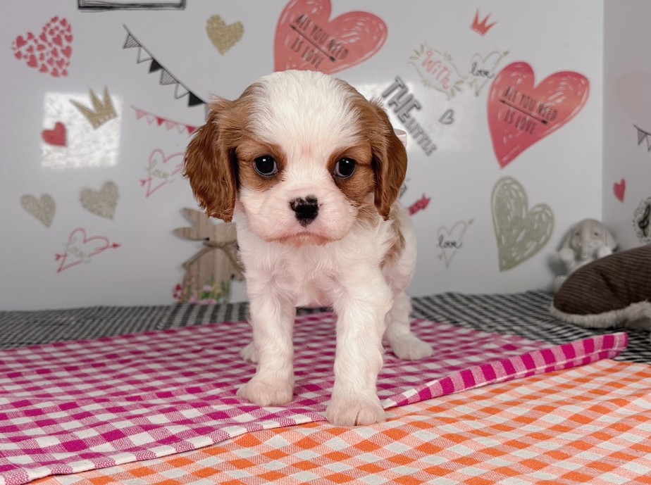 赤ちゃん写真2-1