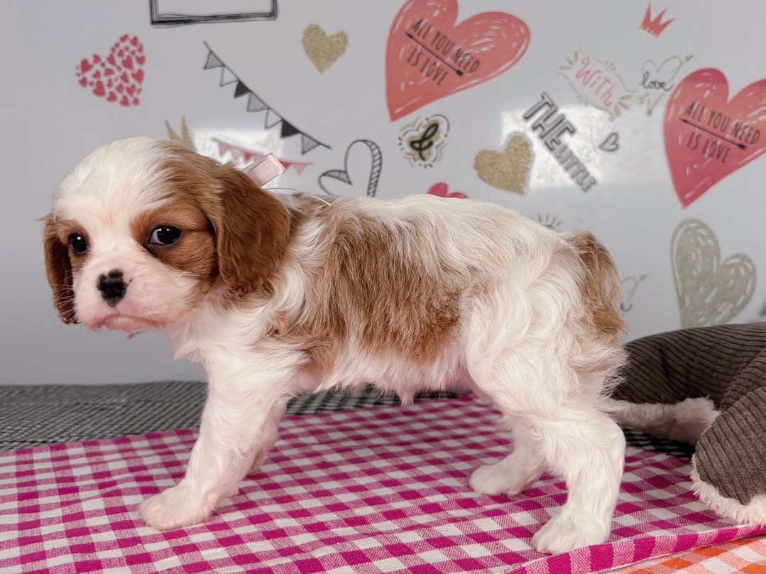 赤ちゃん写真2-2