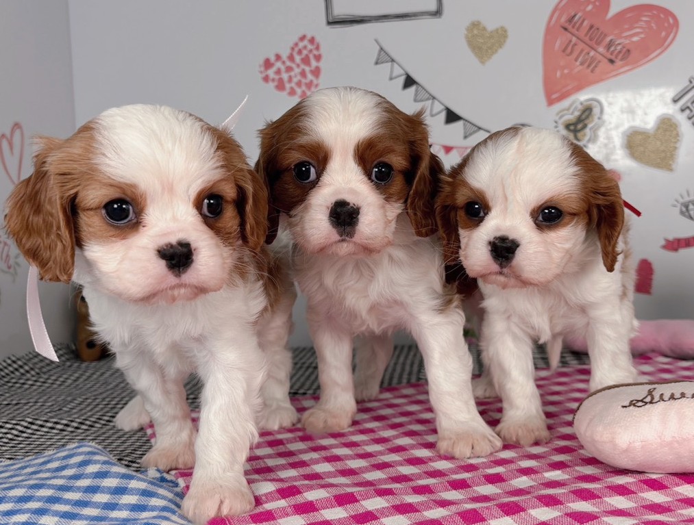 赤ちゃん写真2-3