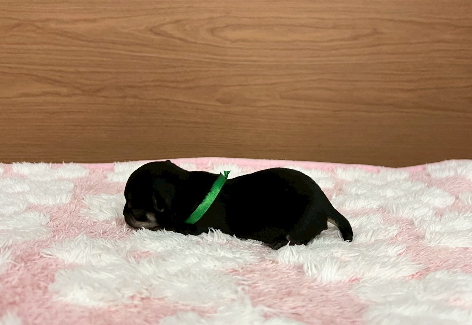 赤ちゃん写真1-2