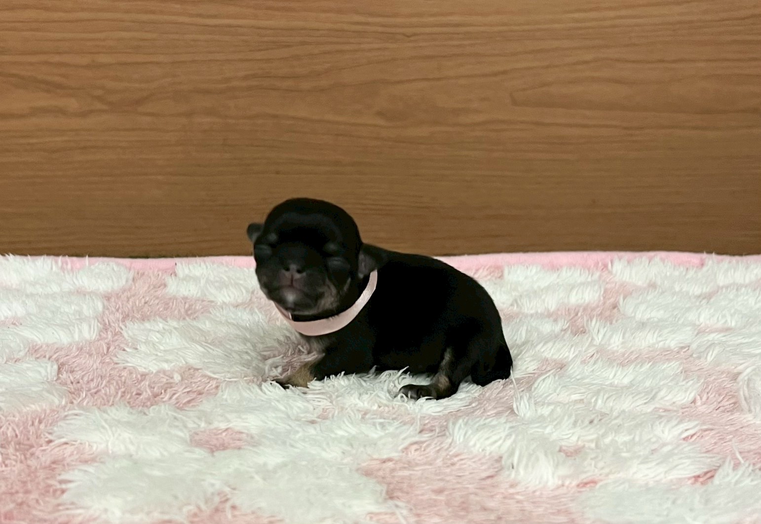 赤ちゃん写真1-1