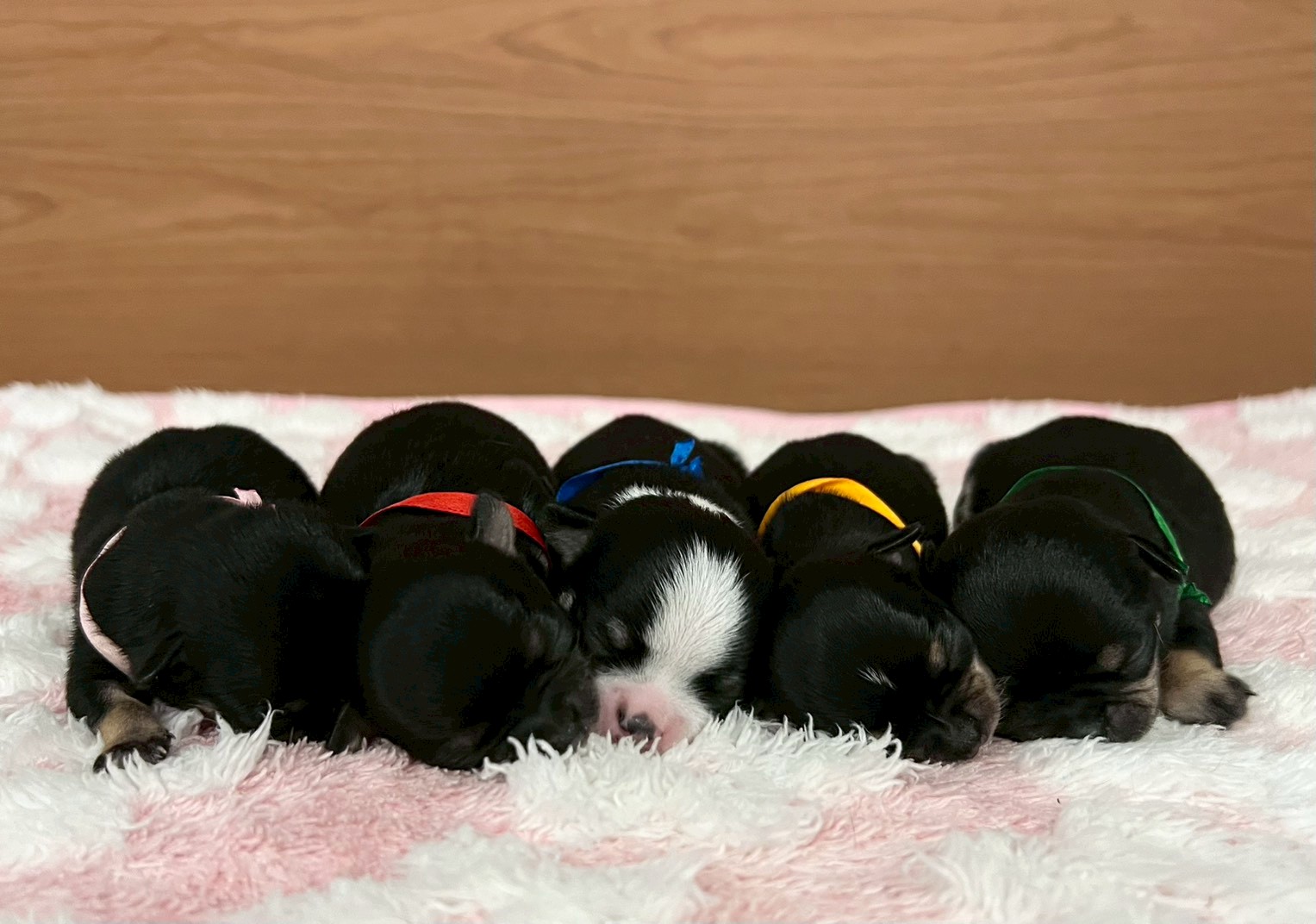 赤ちゃん写真1-3