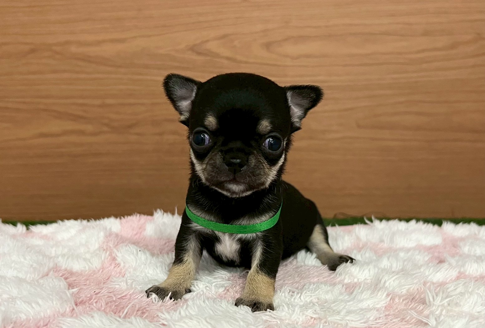 赤ちゃん写真2-1