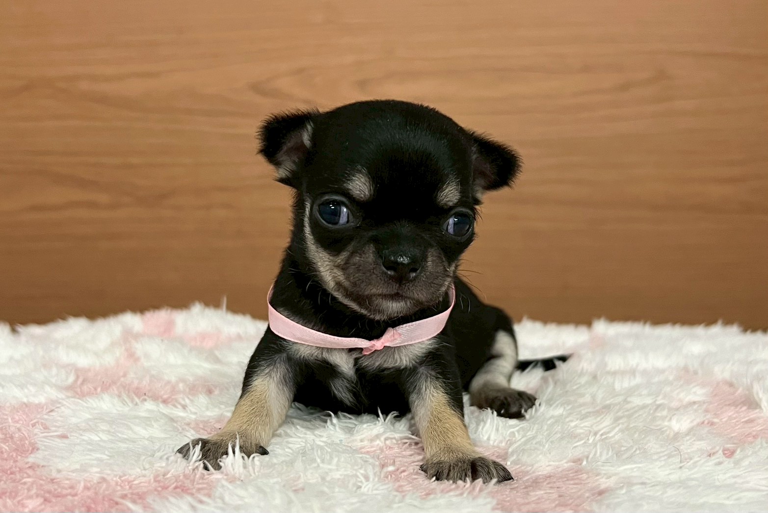 赤ちゃん写真2-1