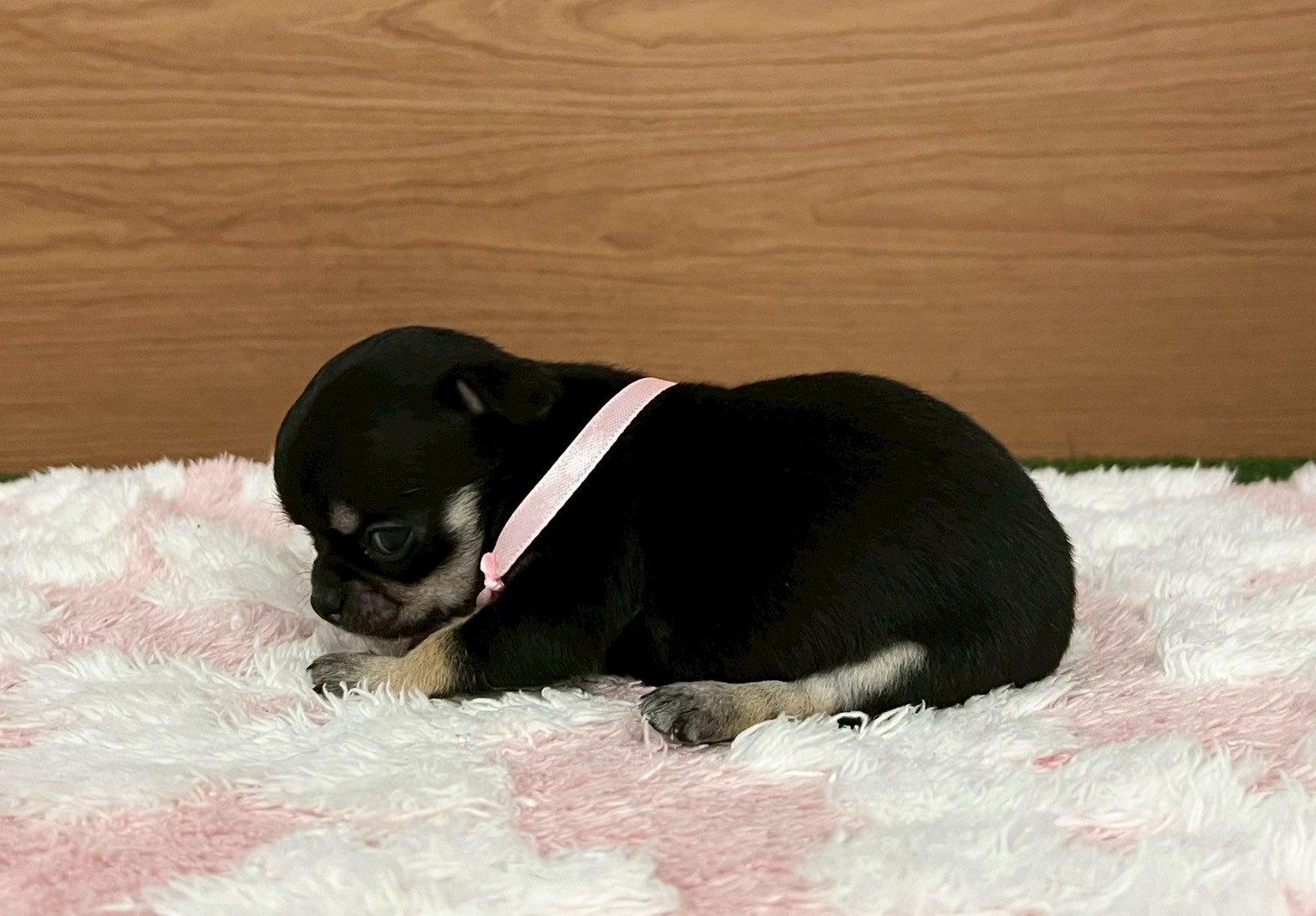 赤ちゃん写真2-2