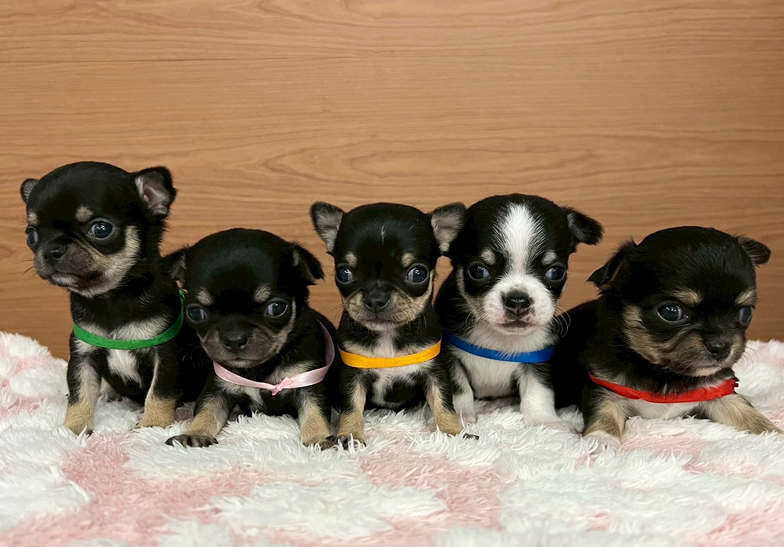 赤ちゃん写真2-3