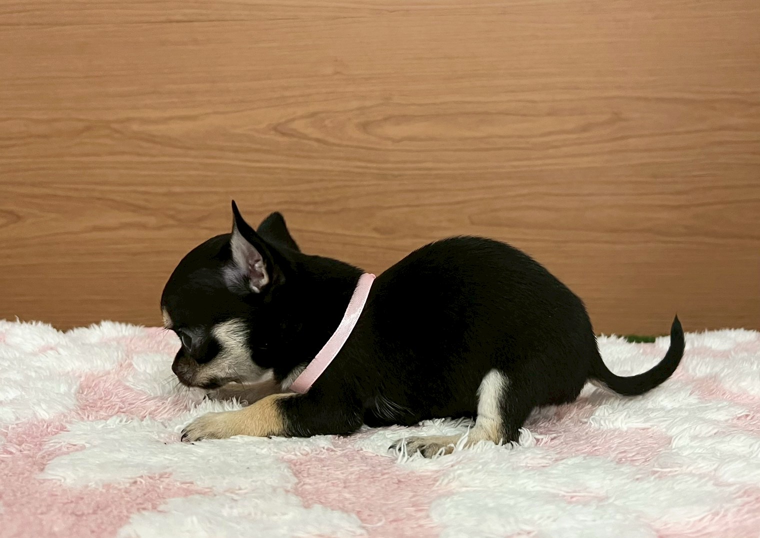 赤ちゃん写真3-2