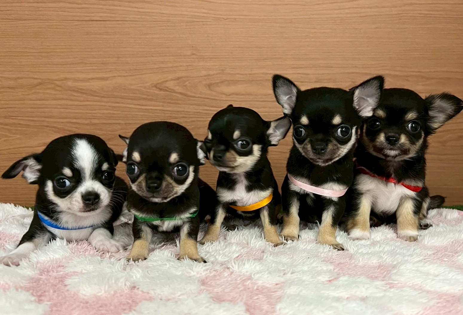 赤ちゃん写真3-3