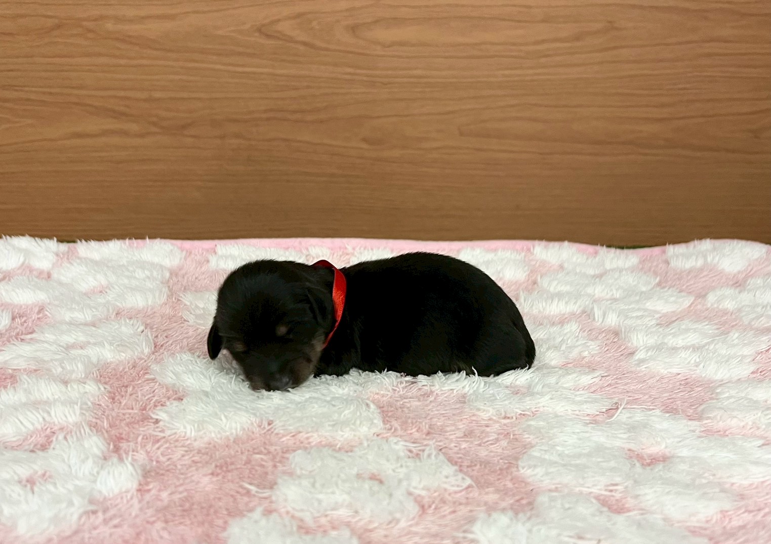 赤ちゃん写真1-1