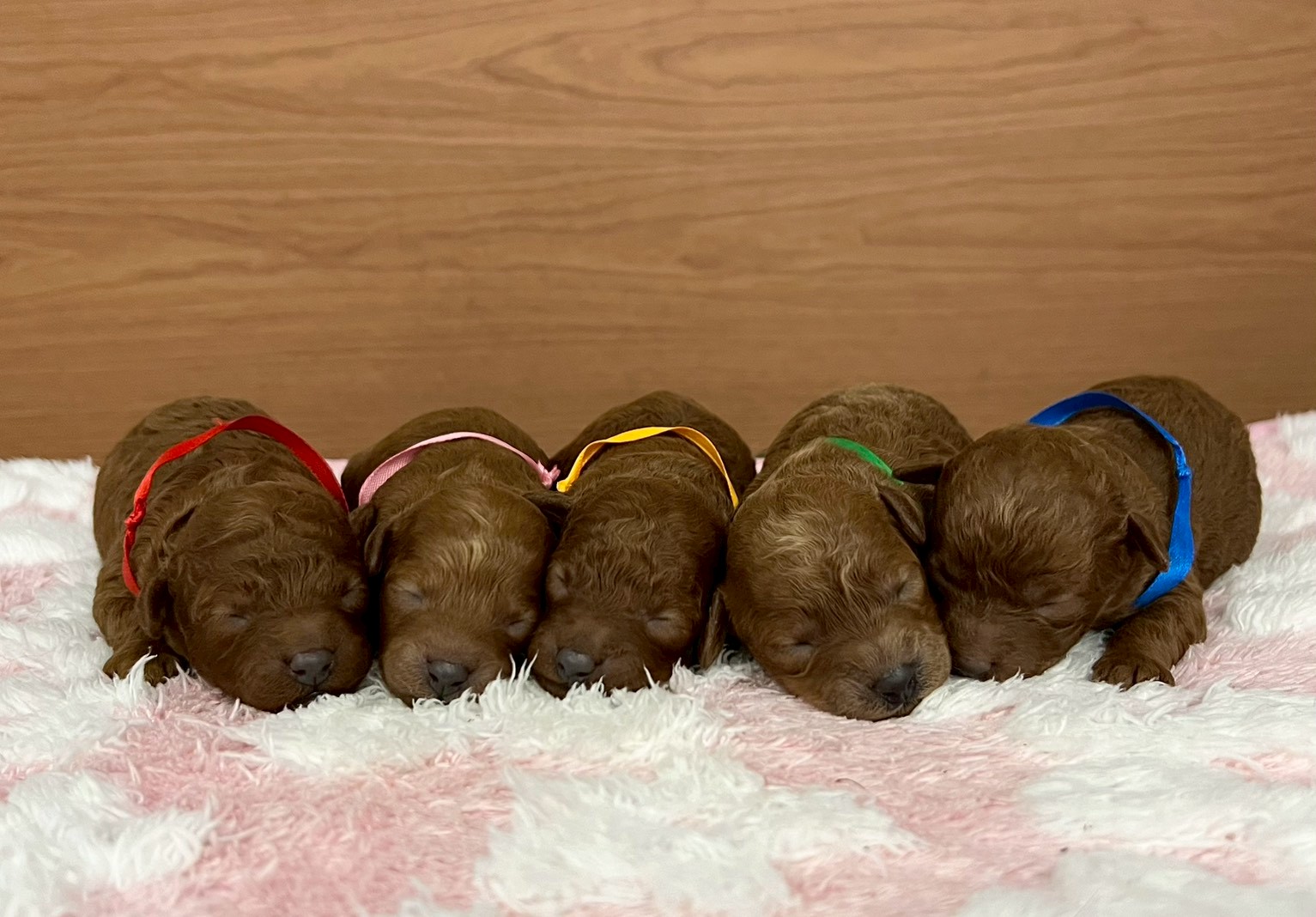 赤ちゃん写真1-3