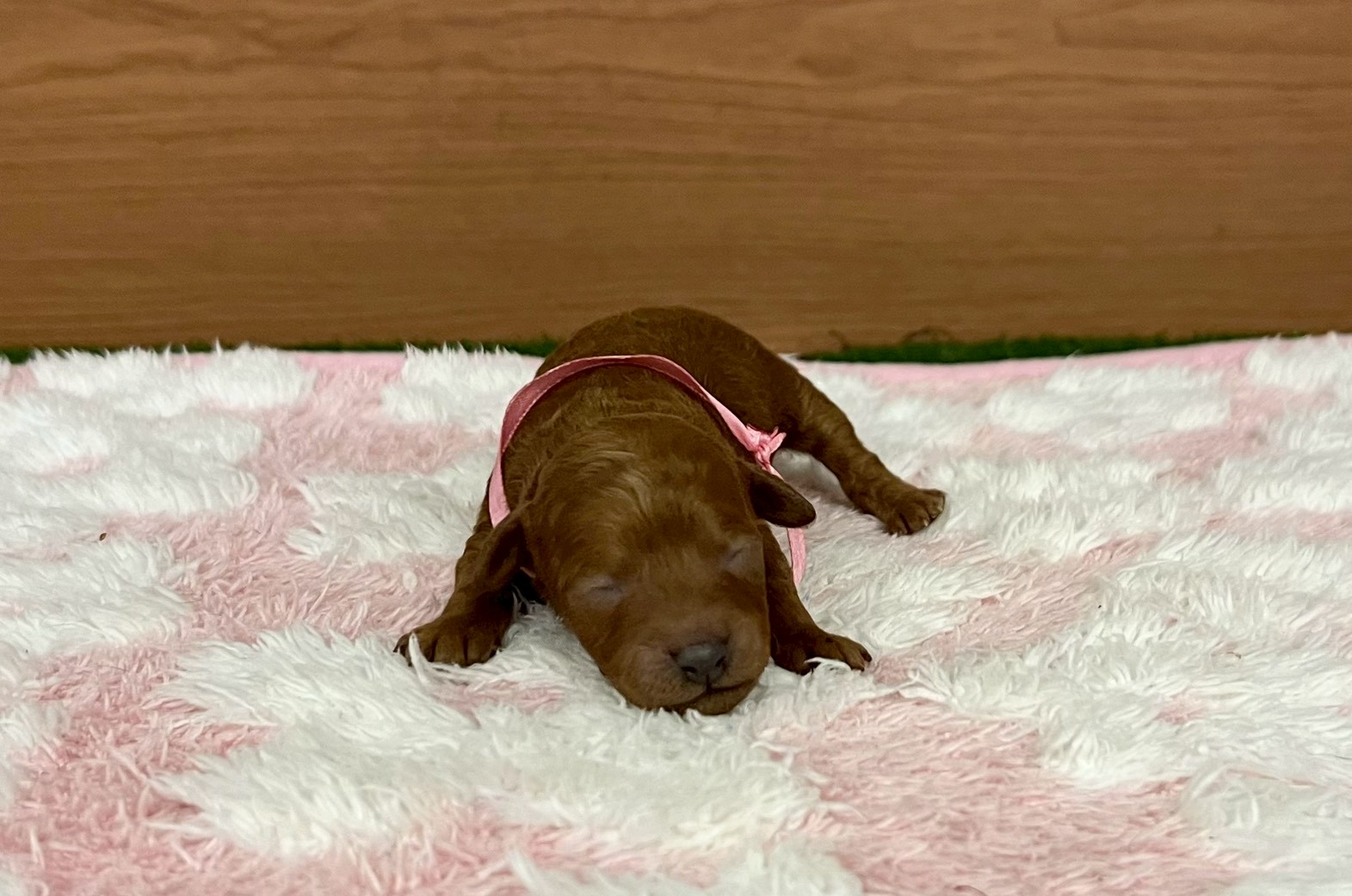 赤ちゃん写真1-1