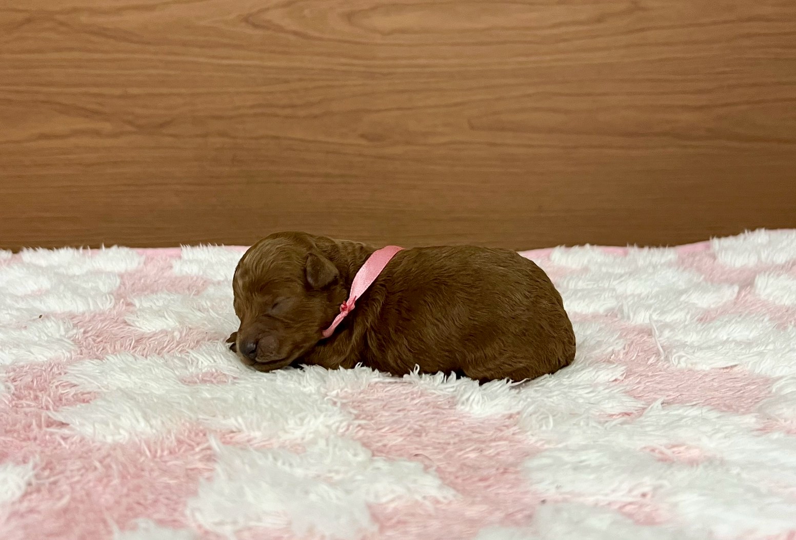 赤ちゃん写真1-2