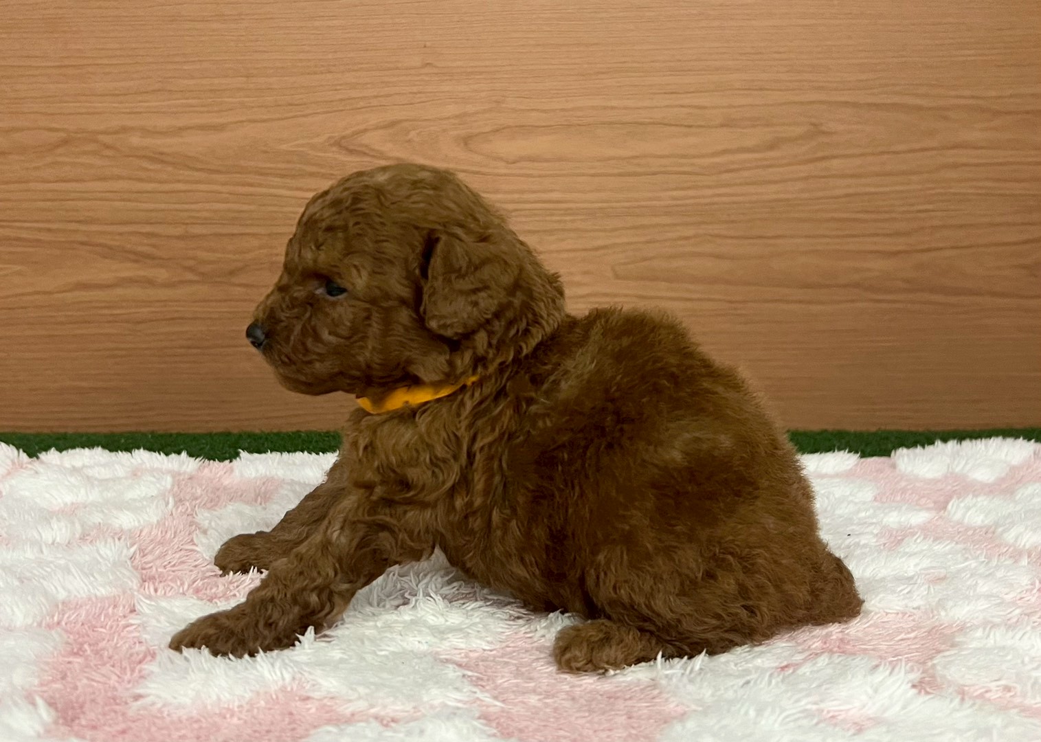 赤ちゃん写真2-2