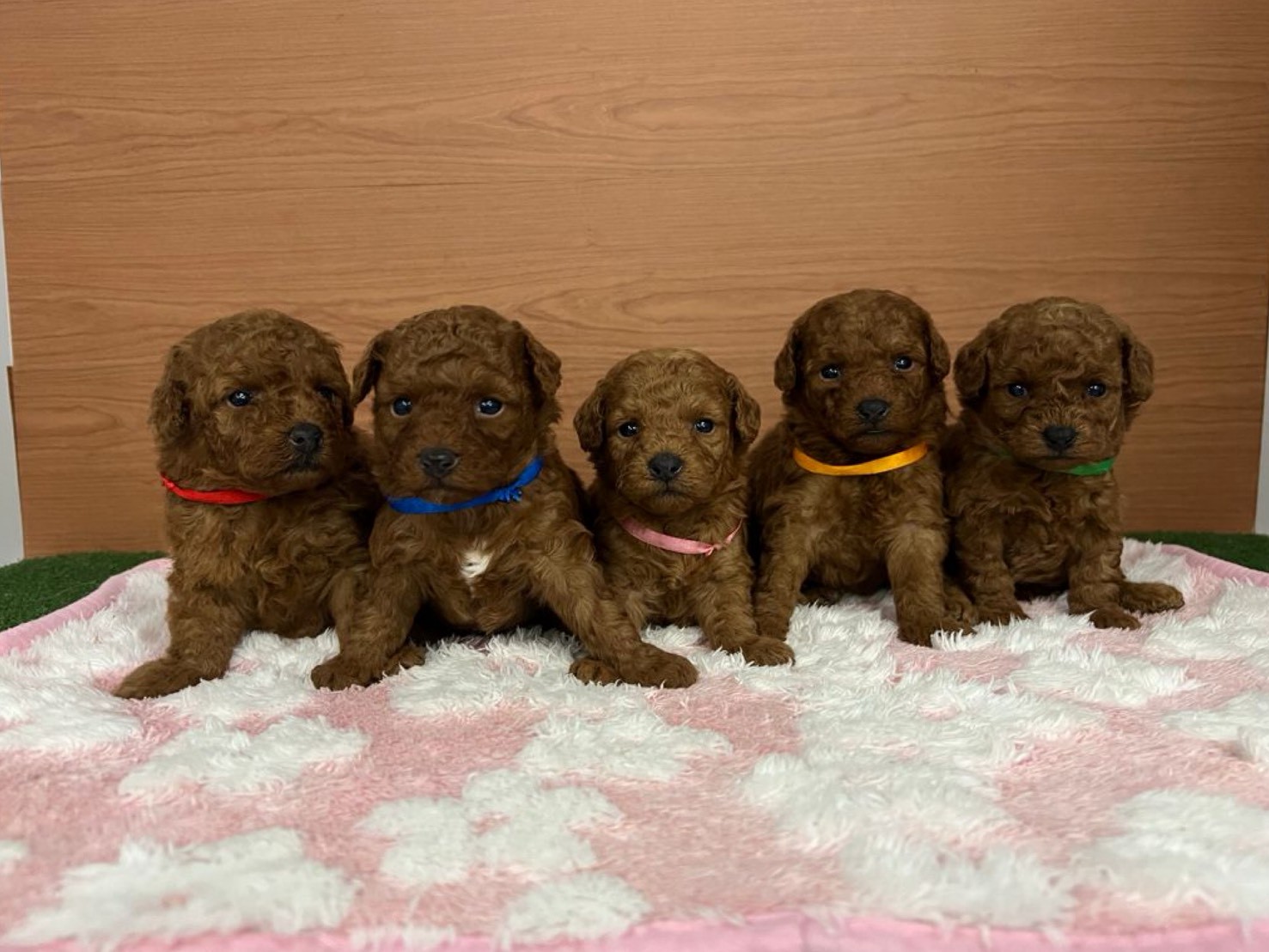 赤ちゃん写真2-3