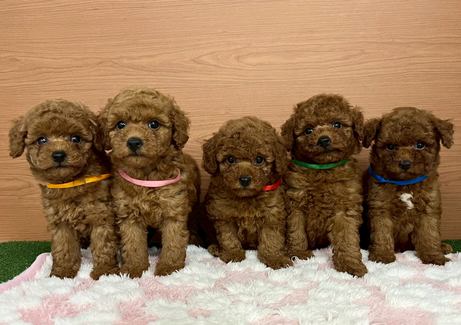 赤ちゃん写真3-3