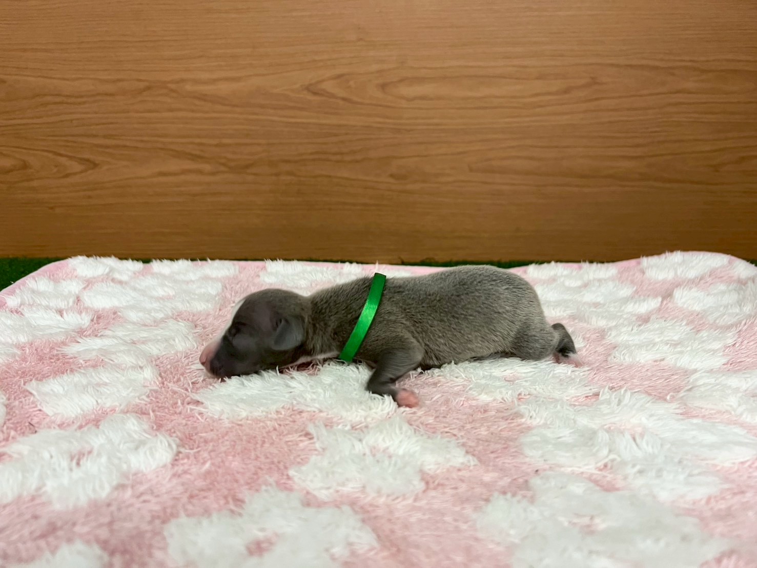 赤ちゃん写真1-2