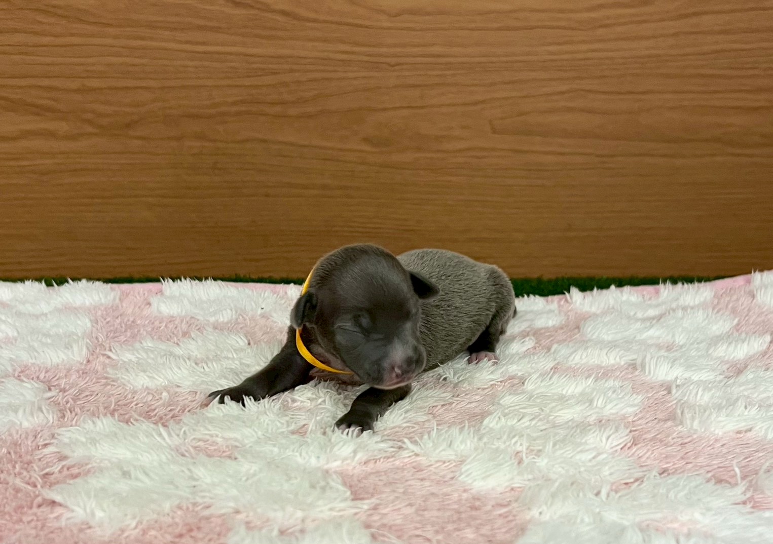 赤ちゃん写真1-1