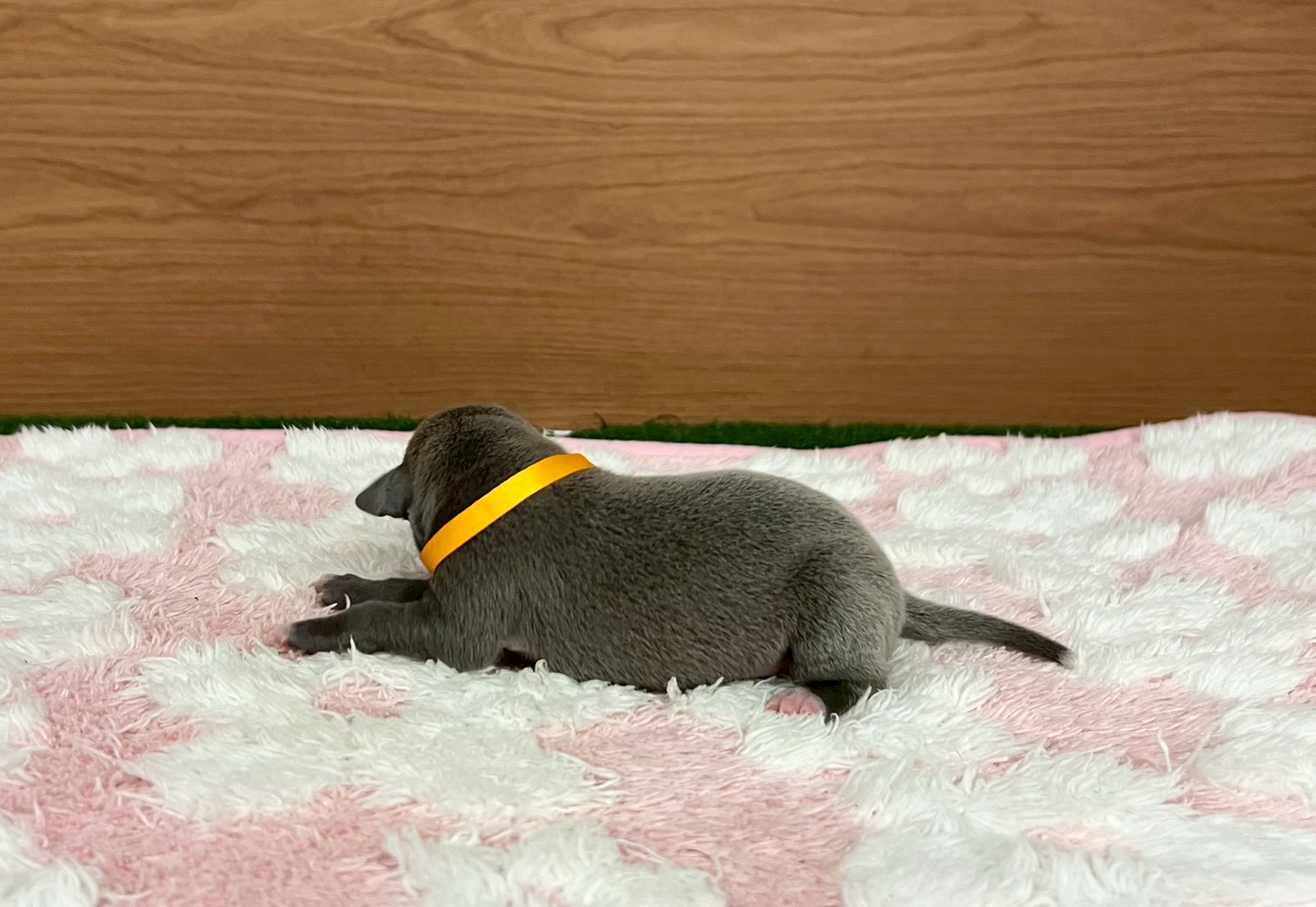 赤ちゃん写真1-2