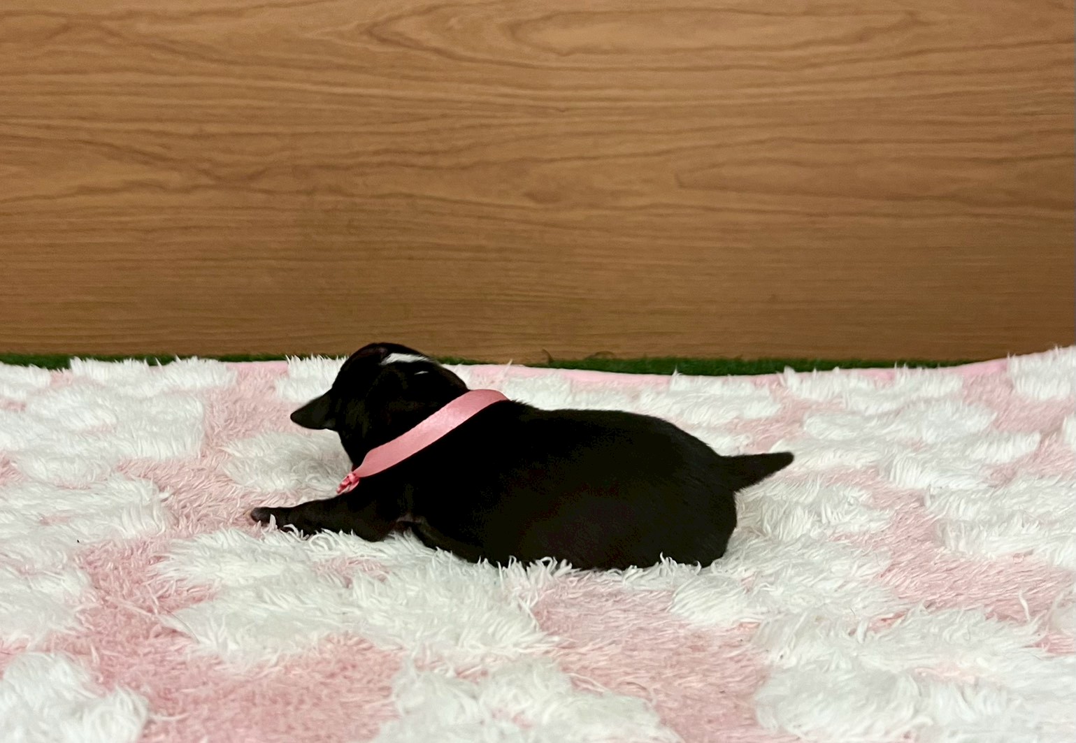 赤ちゃん写真1-2