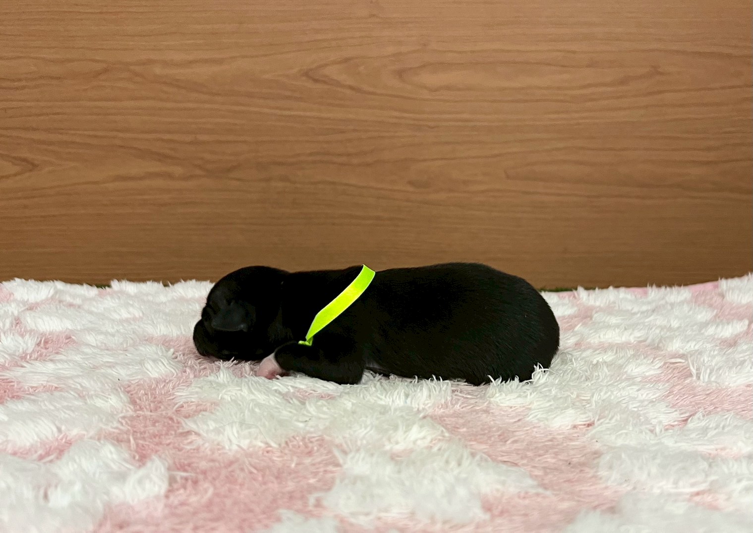 赤ちゃん写真1-2