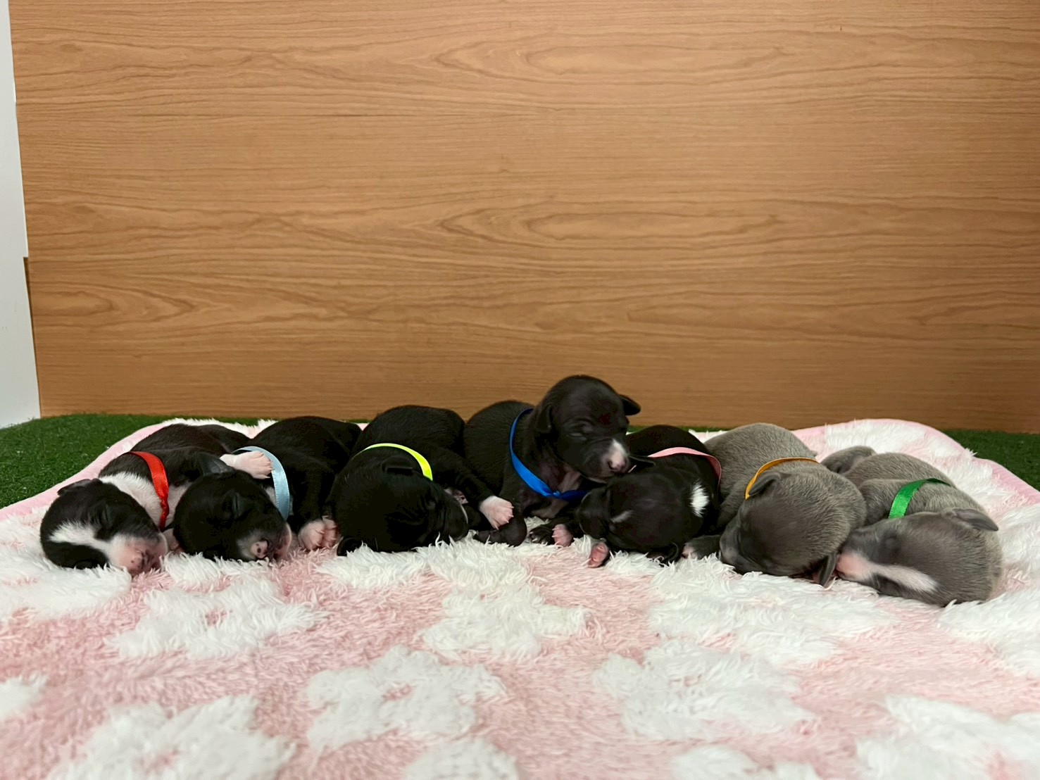 赤ちゃん写真1-3