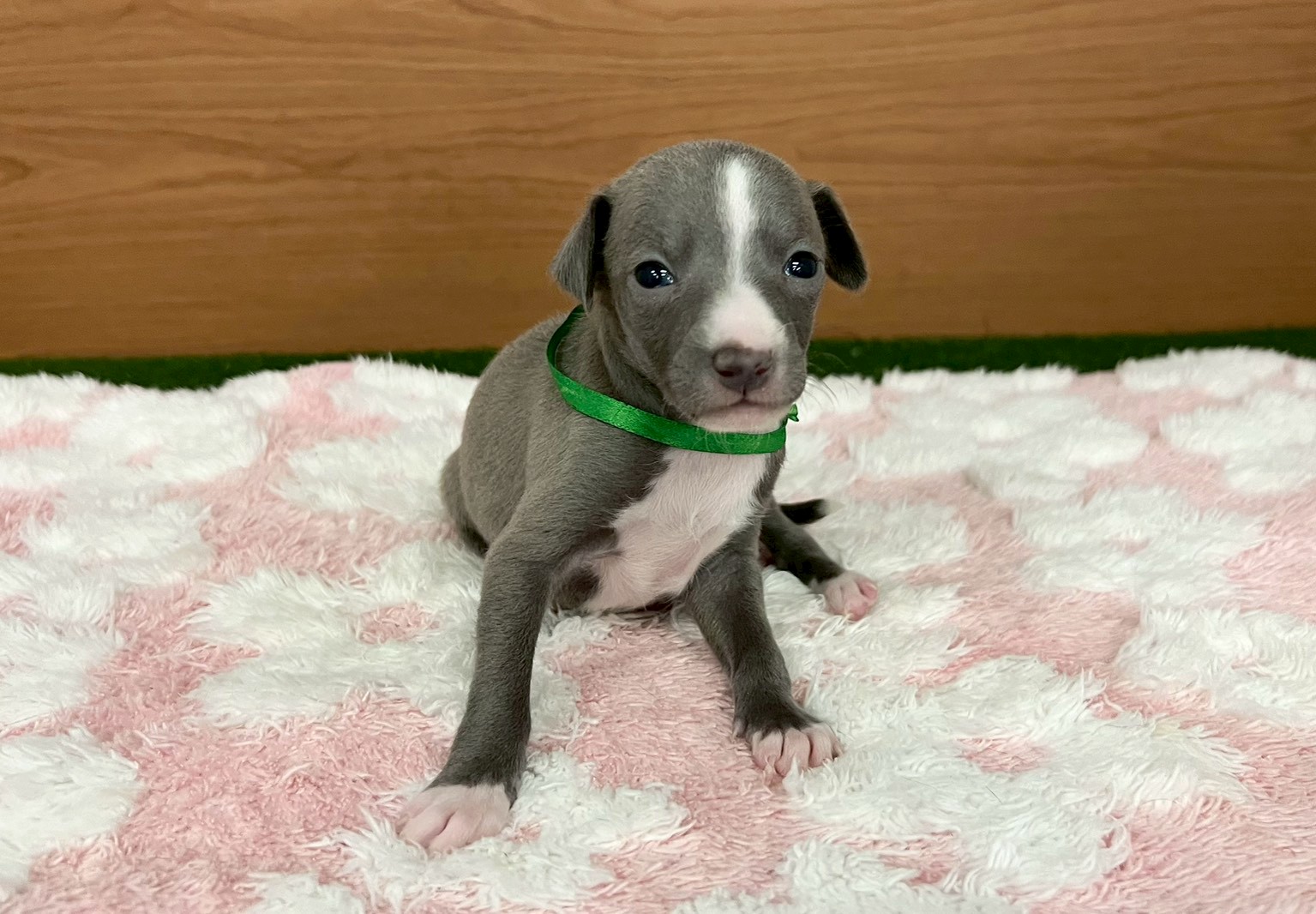 赤ちゃん写真2-1