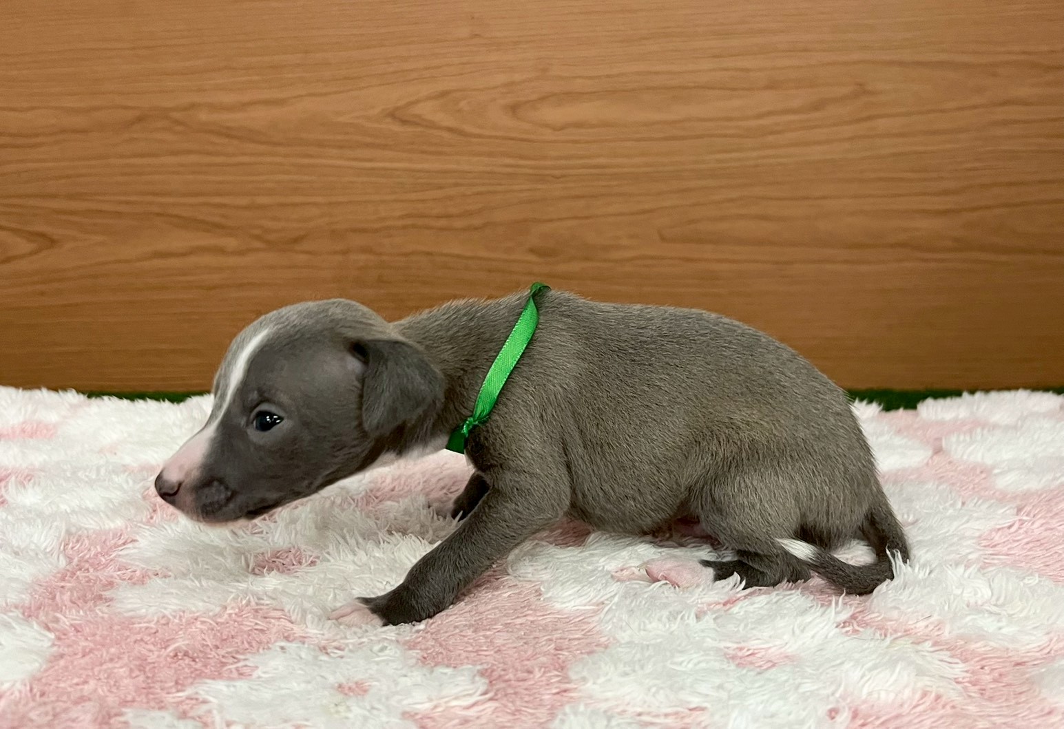 赤ちゃん写真2-2